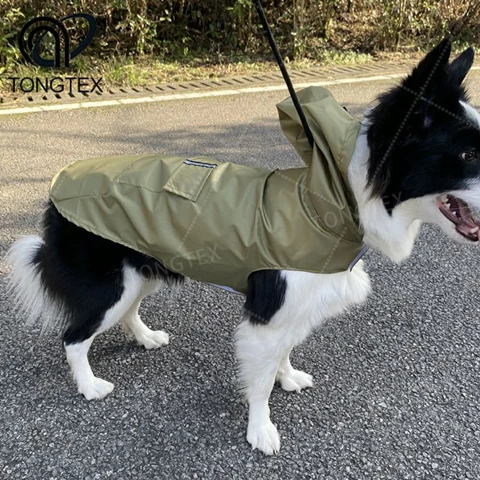 Raincoat